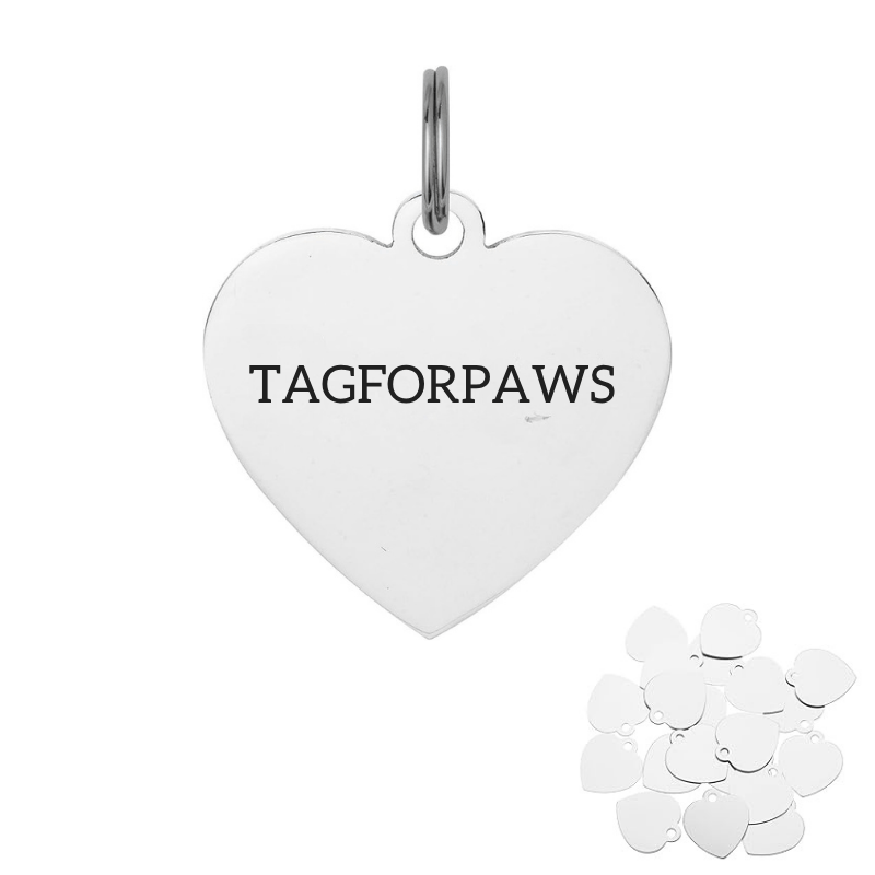 Custom Heart Stainless Steel Dog Tag - Personalized Pet ID